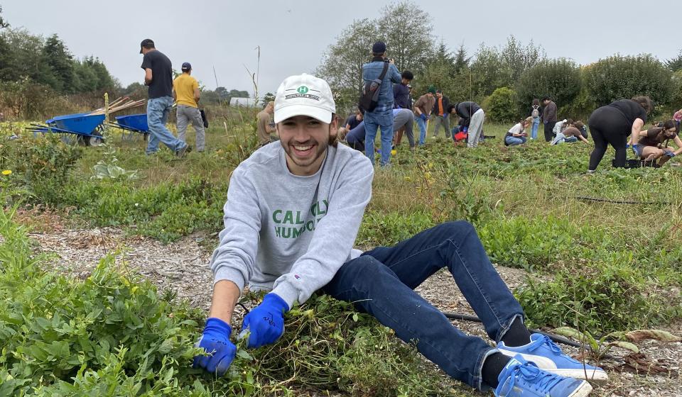 A male volunteer wearing a Cal Poly Humboldt hat and sweatshirt smiles as he weeds the blueberry patch at Potawot